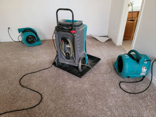 Sewage cleanup and water damage restoration in GA
