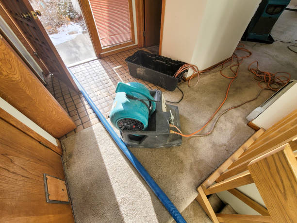 Best Professional water damage repair  in Roswell, GA