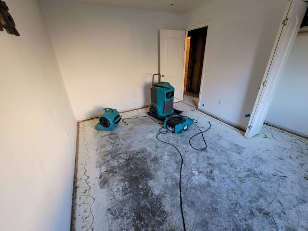 Best Water damage cleanup near me  in Roswell, GA
