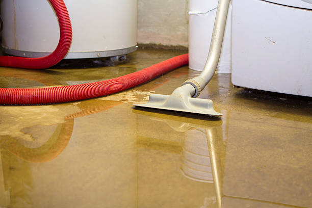 Best Carpet water damage restoration  in Roswell, GA