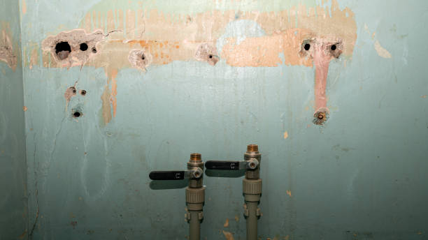 Best Local water damage restoration  in Roswell, GA