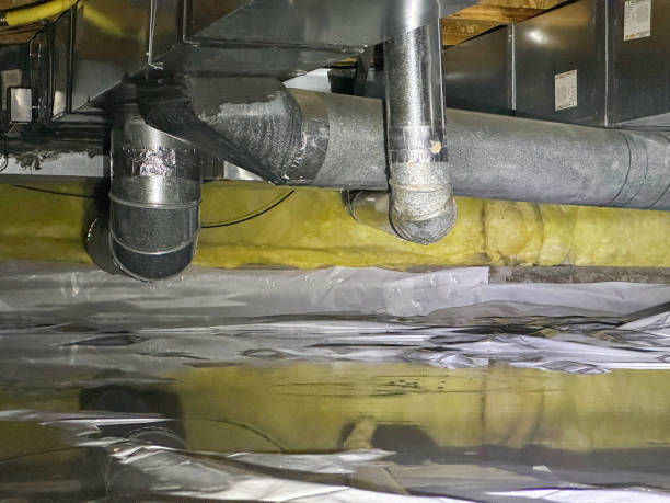 Best Water damage restoration experts  in Roswell, GA