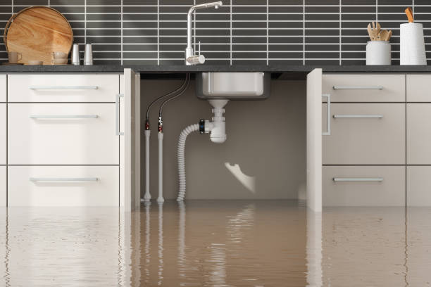 Best Water damage cleanup near me  in Roswell, GA