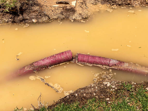 Best Sewage cleanup and water damage restoration  in Roswell, GA