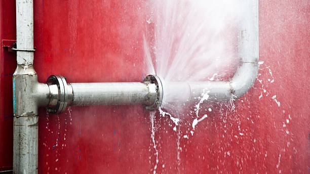 Best Flood restoration services  in Roswell, GA